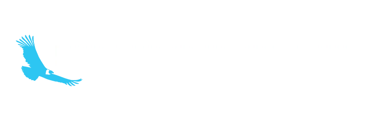 Kondor Blue